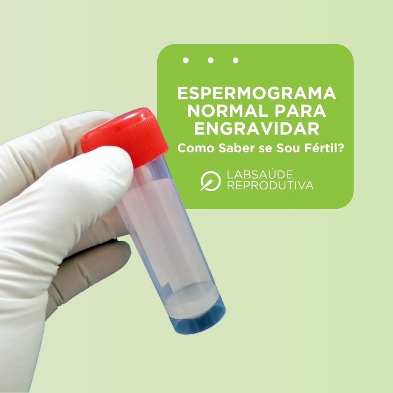 espermograma normal para engravidar