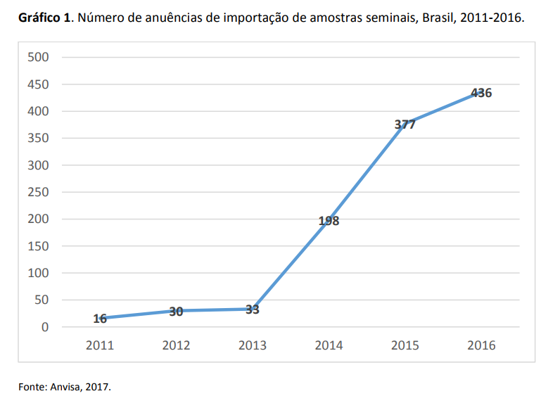 grafico 11