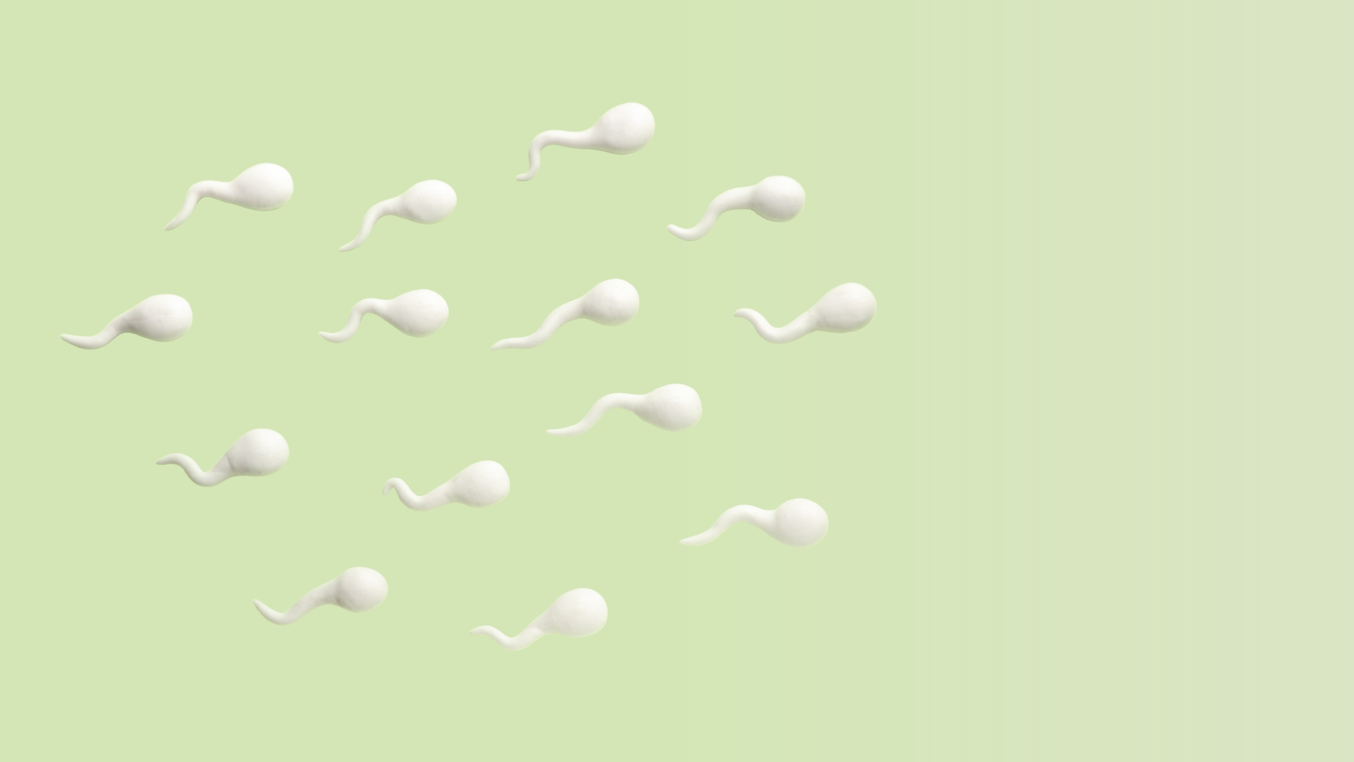 Tipos de Espermograma