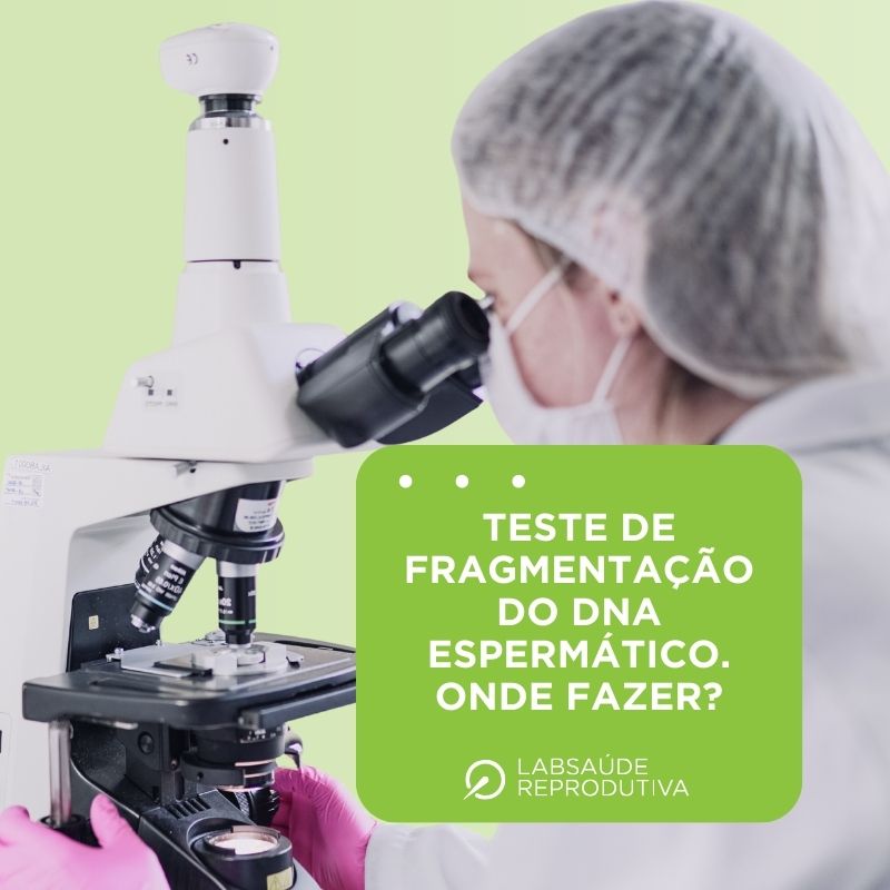 Teste de Fragmentação Do Dna Espermático Onde Fazer