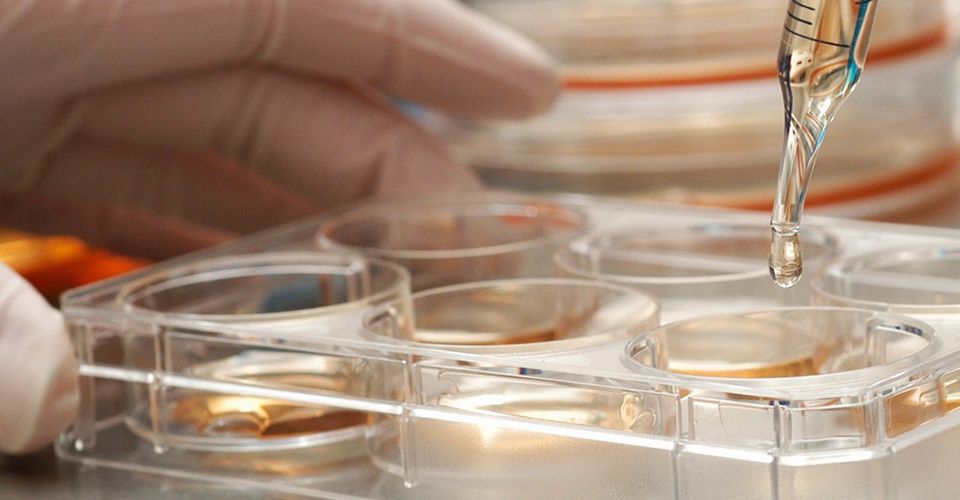 Reposição hormonal e fertilidade do homem: os urologistas estão fazendo de maneira correta?