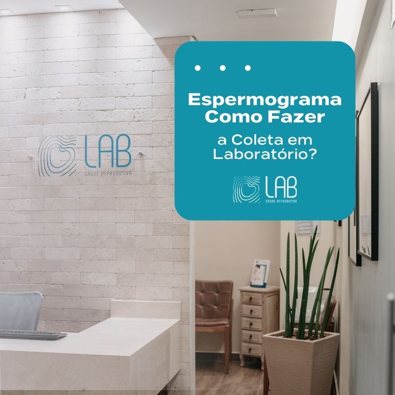 espermograma como fazer