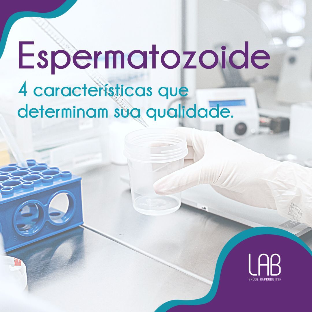 espermatozoide