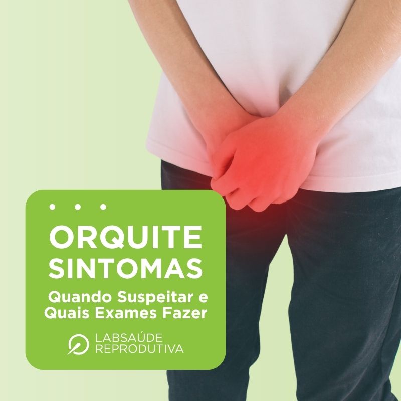 Orquite Sintomas